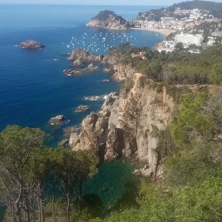 Coral Tossa de Mar